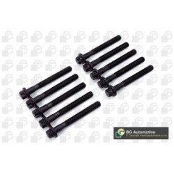 Cylinder Head Bolt Set BGA BK4382 OE Ref 6119901322(x10)