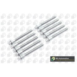Cylinder Head Bolt Set BGA BK4387 OE Ref 0204.97(x10)