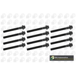 Cylinder Head Bolt Set BGA BK4389 OE Ref 5073703AA