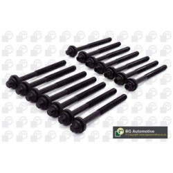 Cylinder Head Bolt Set BGA BK5316 OE Ref 11129067790(x14)