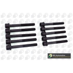 Cylinder Head Bolt Set BGA BK5320 OE Ref 607256(x10)