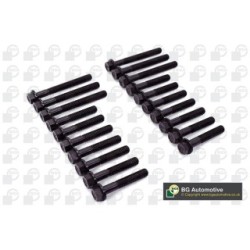 Cylinder Head Bolt Set BGA BK5325 OE Ref ERR2943(x14)