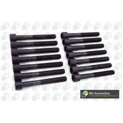 Cylinder Head Bolt Set BGA BK5337 OE Ref 90910-02102(x14)