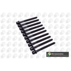 Cylinder Head Bolt Set BGA BK5346 OE Ref 06A103384C(x10)