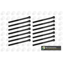 Cylinder Head Bolt Set BGA BK5364 OE Ref 1049900012(x14)