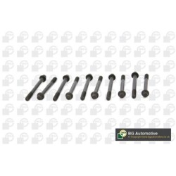 Cylinder Head Bolt Set BGA BK5400 OE Ref B660-10-135A(x10)