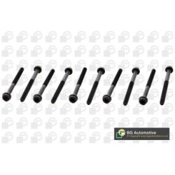 Cylinder Head Bolt Set BGA BK5600 OE Ref 1129900312(x10)