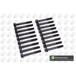 Cylinder Head Bolt Set BGA BK6313 OE Ref 6093964(x18)