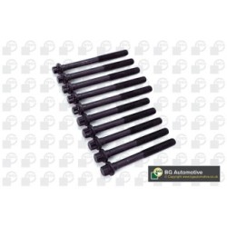 Cylinder Head Bolt Set BGA BK6318 OE Ref 110565986R(x5)