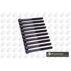 Cylinder Head Bolt Set BGA BK6324 OE Ref 7653650(x10)