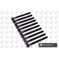 Cylinder Head Bolt Set BGA BK6327 OE Ref 7696197(x10)