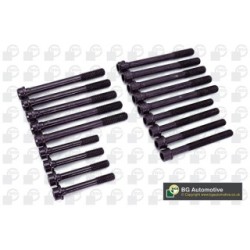 Cylinder Head Bolt Set BGA BK6349 OE Ref 60572819(x10)