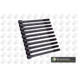 Cylinder Head Bolt Set BGA BK6381 OE Ref 11056-41B00