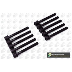 Cylinder Head Bolt Set BGA BK6396 OE Ref 050103384