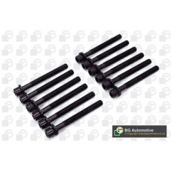 Cylinder Head Bolt Set BGA BK6397 OE Ref 068103384A(x12)