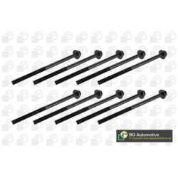 Cylinder Head Bolt Set BGA BK9500 OE Ref 55598493(x10)