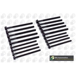 Cylinder Head Bolt Set BGA BK9602 OE Ref 0204.C0