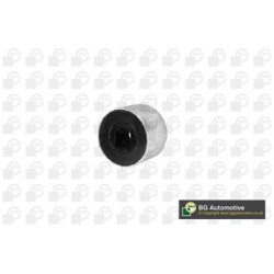 Control Trailing Arm Bush BGA BU0125 OE Ref 8Z0407183A