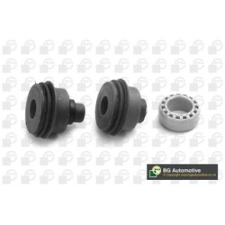 Control Trailing Arm Bush BGA BU0401 OE Ref A1693330114