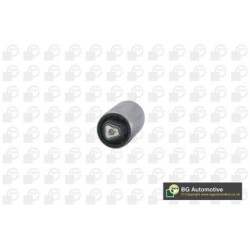 Control Trailing Arm Bush BGA BU0916 OE Ref 31120398350