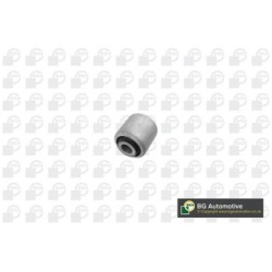 Control Trailing Arm Bush BGA BU0920 OE Ref 31126855509