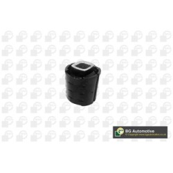 Axle Beam Bushing BGA BU0946 OE Ref 33316770826