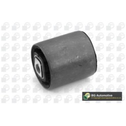 Control Trailing Arm Bush BGA BU0961 OE Ref 31126775145