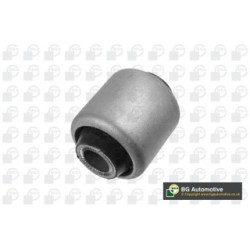 Control Trailing Arm Bush BGA BU0976 OE Ref 31106771194