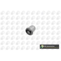 Axle Beam Bushing BGA BU2248 OE Ref 51804551