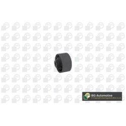 Control Trailing Arm Bush BGA BU3605 OE Ref 54584-2S000