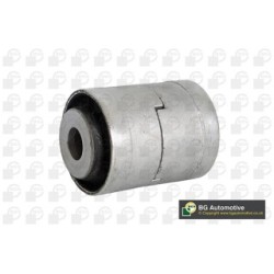 Control Trailing Arm Bush BGA BU4210 OE Ref RGX500121