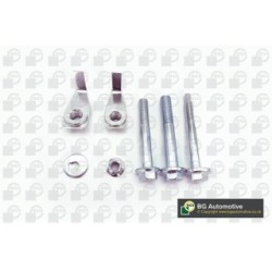 Control Arm Fastening Bolt BGA BU4214 OE Ref FC116216