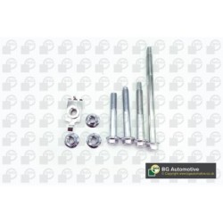 Control Arm Fastening Bolt BGA BU4216 OE Ref FX116056