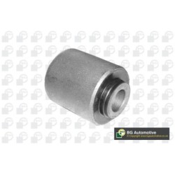 Control Trailing Arm Bush BGA BU4296 OE Ref RGX101020
