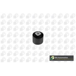 Control Trailing Arm Bush BGA BU4298 OE Ref RGX100970