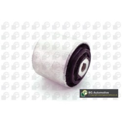 Control Trailing Arm Bush BGA BU56002 OE Ref 2053332300