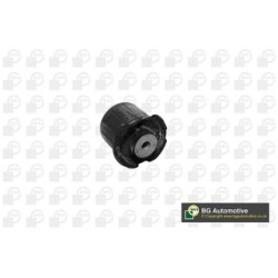 Control Trailing Arm Bush BGA BU5619 OE Ref 2113305507-Bush