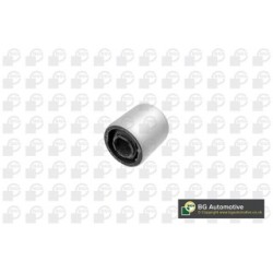 Control Trailing Arm Bush BGA BU5917 OE Ref 31129803788