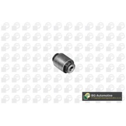 Control Trailing Arm Bush BGA BU7514 OE Ref EGP1673