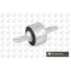 Control Trailing Arm Bush BGA BU8810