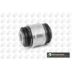Control Trailing Arm Bush BGA BU8820
