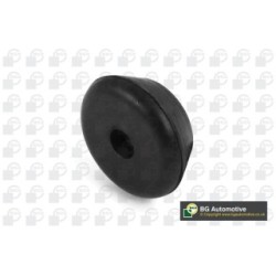 Control Trailing Arm Bush BGA BU9169 OE Ref 6N0411329