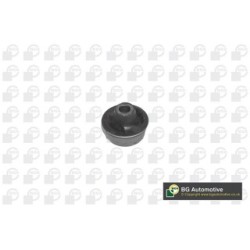 Control Trailing Arm Bush BGA BU9536 OE Ref 352352