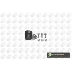 Control Trailing Arm Bush BGA BU9538 OE Ref 352366