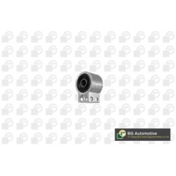 Control Trailing Arm Bush BGA BU9550 OE Ref 352868