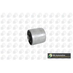 Control Trailing Arm Bush BGA BU9669 OE Ref 4G0407183