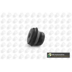 Control Trailing Arm Bush BGA BU9932 OE Ref 2023336714