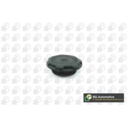 Coolant Tank Cap BGA CC0103 OE Ref 2Q0121321