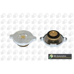Coolant Tank Cap BGA CC3048 OE Ref 17111100848