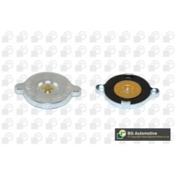 Coolant Tank Cap BGA CC3054 OE Ref 21430-9C002